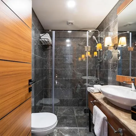 Library Erciyes Hotel 4*