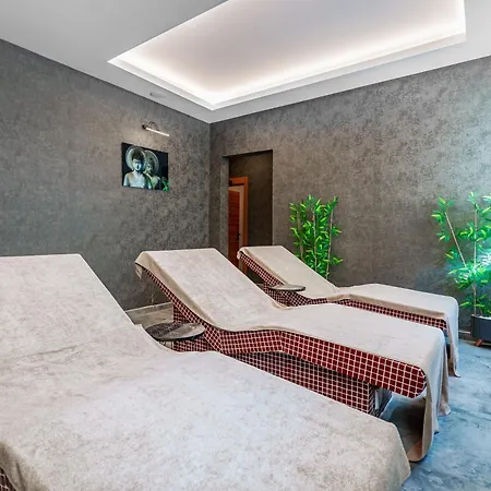 Library Erciyes 4*