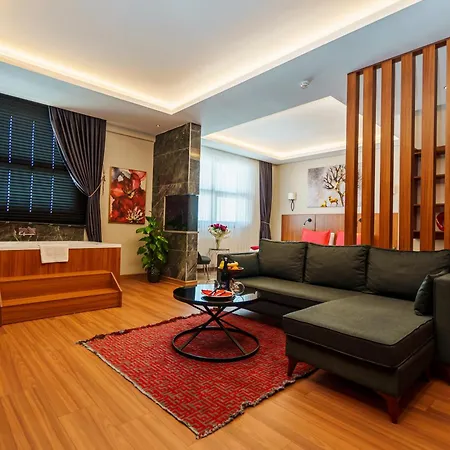 Library Erciyes Hotel