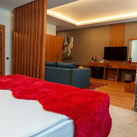 Library Erciyes Hotel Kayseri