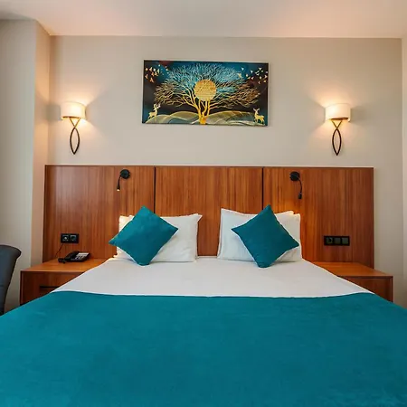 Library Erciyes Hotel 4*