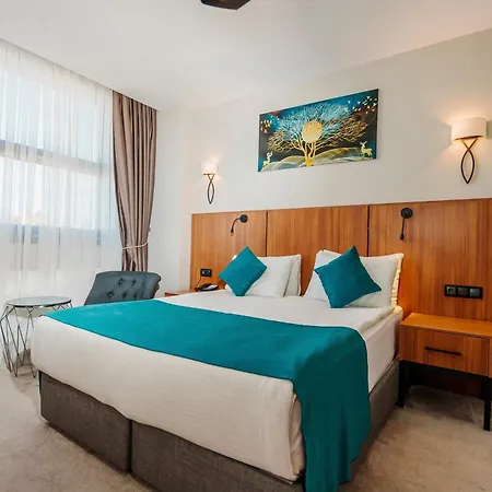 Library Erciyes Hotel
