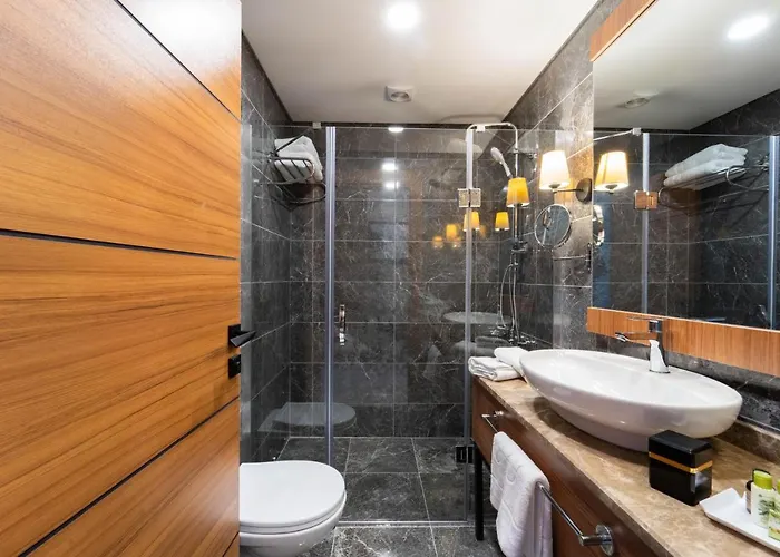 Library Erciyes Otel 4*