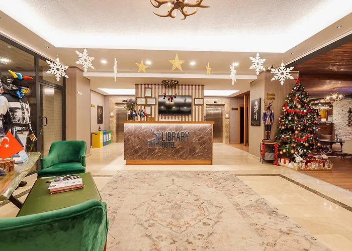 Library Erciyes Kayseri