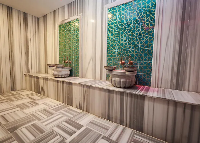 Library Erciyes Kayseri