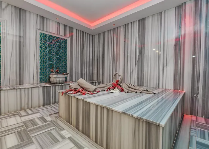 Library Erciyes Kayseri