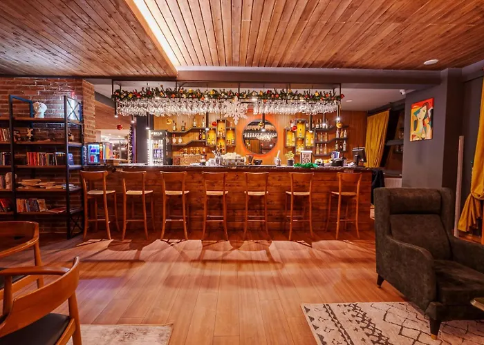 Hotel Library Erciyes