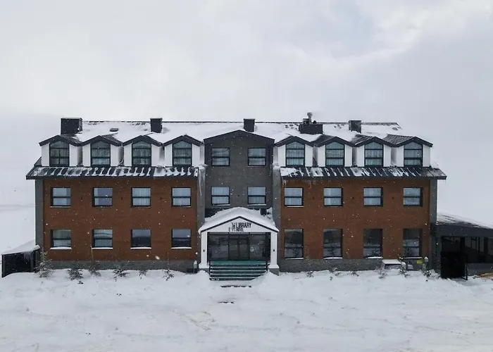 Library Erciyes Hotel