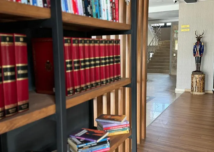 Library Erciyes Hotel 4*