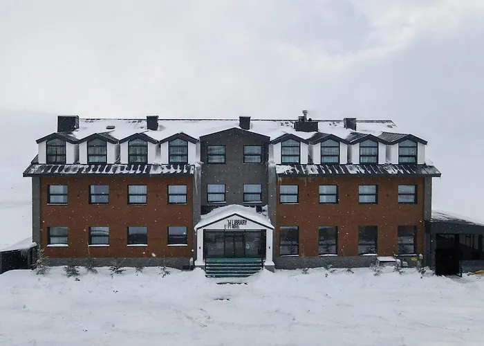 Library Erciyes 4*