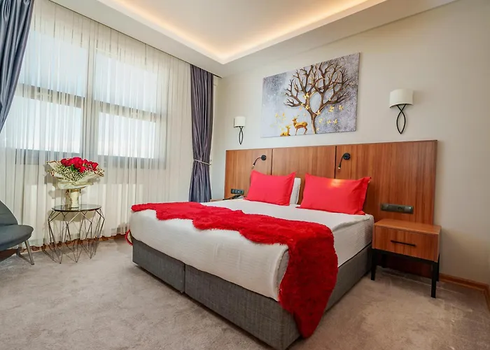 Library Erciyes Kayseri