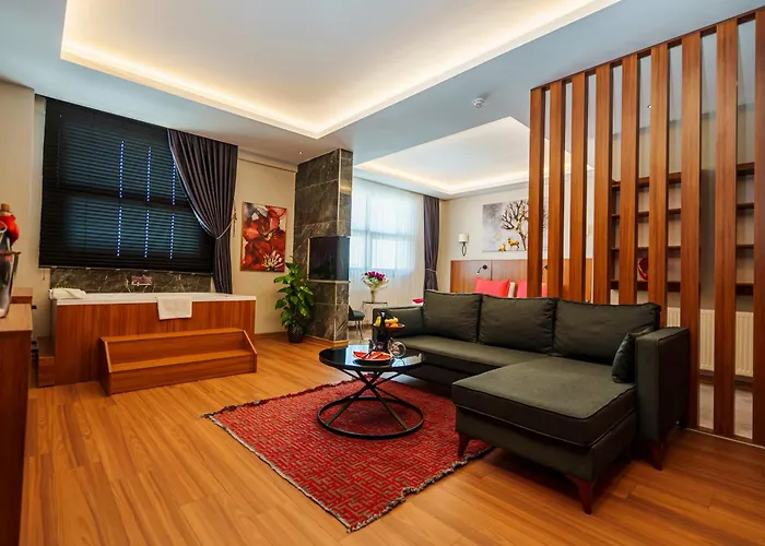 Library Erciyes Hotel