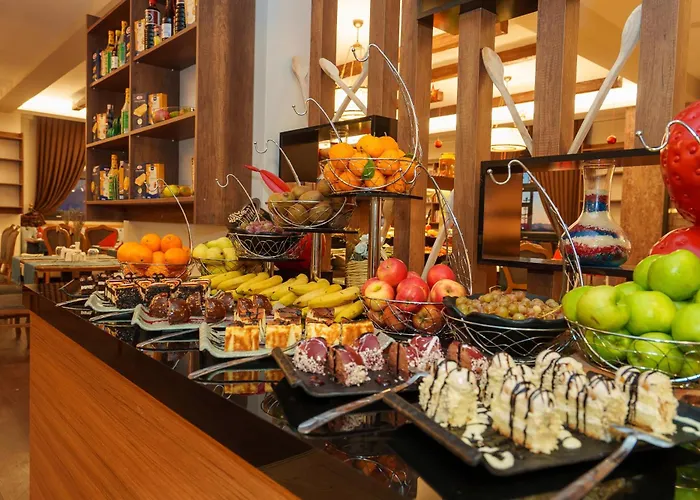 Library Erciyes Hotel Kayseri