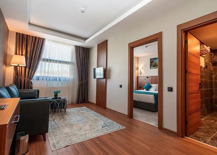 Library Erciyes Hotel 4*